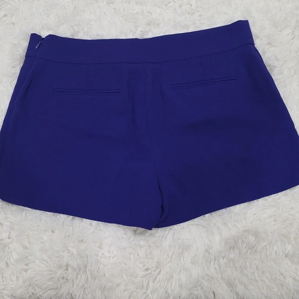 J. Crew Women's High Waist Purple Shorts. Size 10. NWT!